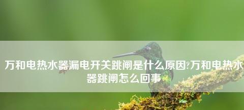 电热水器漏电插头跳闸怎么办（解决电热水器漏电问题的实用方法）